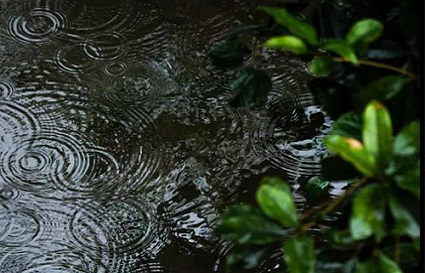 沈阳摄影学校_怎样才能拍出雨天的意境美